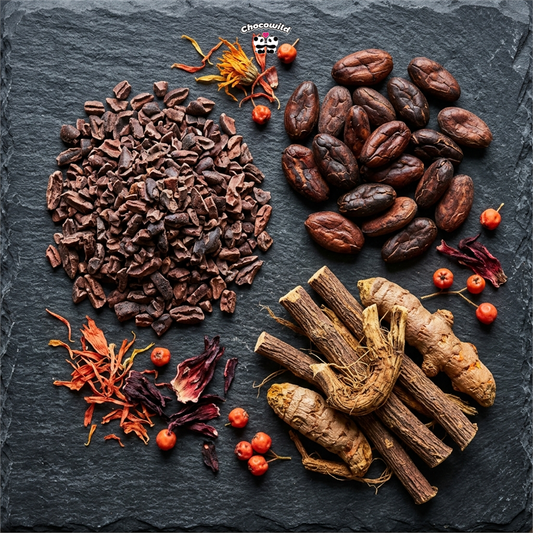 Chocolate as a Functional Food: What Modern Science Says