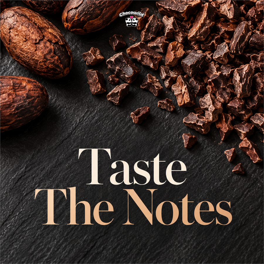 Dark Chocolate Flavor Guide: Notes, Terroir, and Tasting